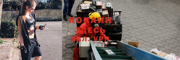 ешки Алзамай