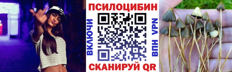 Псилоцибиновые грибы Magic Shrooms  kraken   Бавлы 